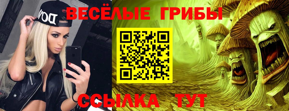 Галлюциногенные грибы Psilocybe Вязники