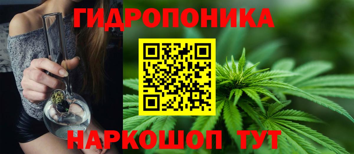 Канабис White Widow  Марихуана THC 21%  Вход с VPN  Шишки марихуана VHQ  Вязники 